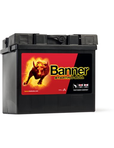 BANNER Starting Bull 12V 30Ah 300A - Borna Normala (dreapta +)