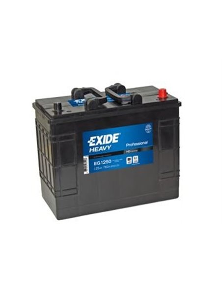 EXIDE PROFESSIONAL 12V 125Ah 760A - Borna Normala (dreapta +)