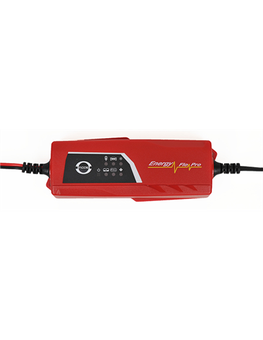 REDRESOR INTELIGENT 12V 2A