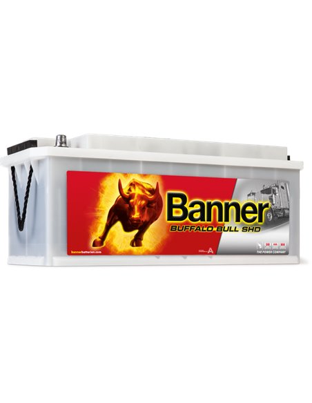 BANNER Buffalo Bull SHD 12V 170Ah 1000A - Borna Tip camion