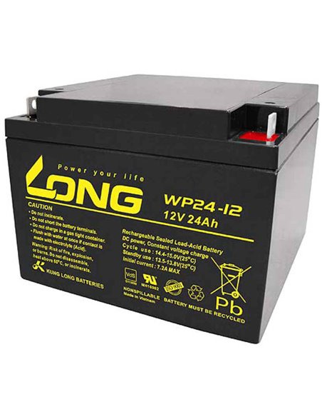 CARANDA LONG Stationara AGM/VRLA 12V 24Ah