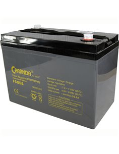 CARANDA FCD Deep Cycle Gel 6V 200Ah