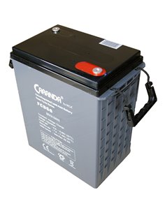 CARANDA FCD Deep Cycle Gel 6V 380Ah
